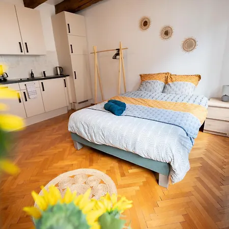 Le Repaire Du Chanceux Apartment Selestat