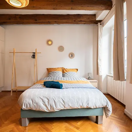 Le Repaire Du Chanceux Appartement Sélestat