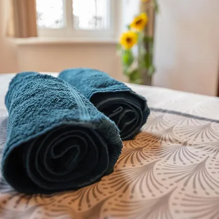 Apartment Le Repaire Du Chanceux Selestat