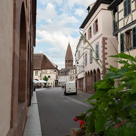 Le Repaire Du Chanceux Apartment Selestat