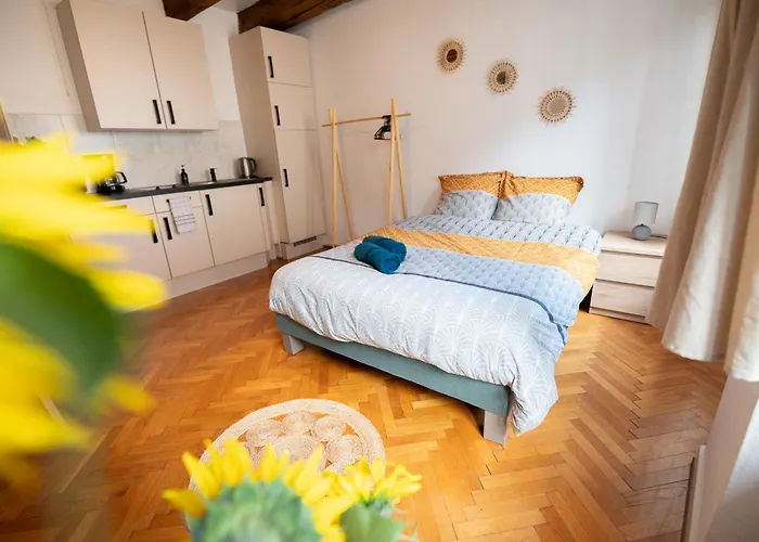 Le Repaire Du Chanceux Appartement Sélestat