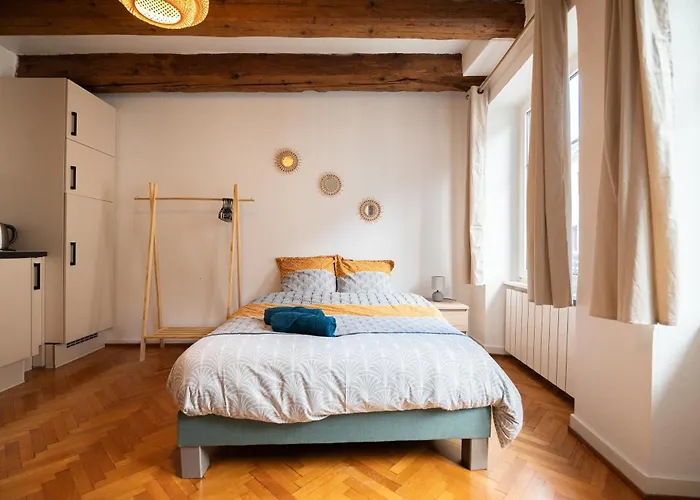 Le Repaire Du Chanceux Appartement Sélestat